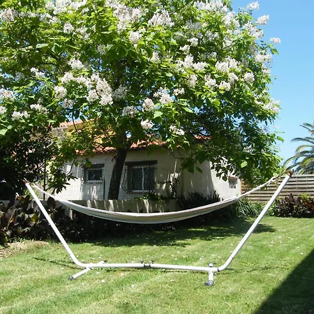 120m2 Rdc 2km Soleil Catalan 2ch Wifi 6pers Ok Cheques Animaux * Latour-Bas-Elne