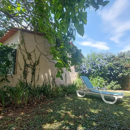 Apartment 120m2 Rdc 2km Soleil Catalan 2ch Wifi 4pers Ok Cheques Animaux *
